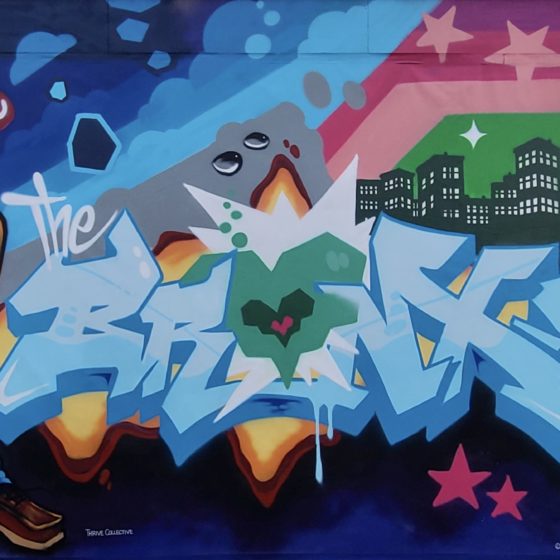 NYC Homecoming Week: The Bronx
