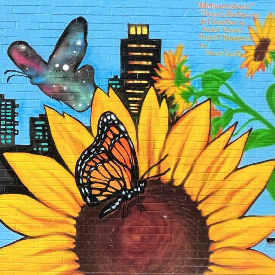 IS 217: Metamorphosis