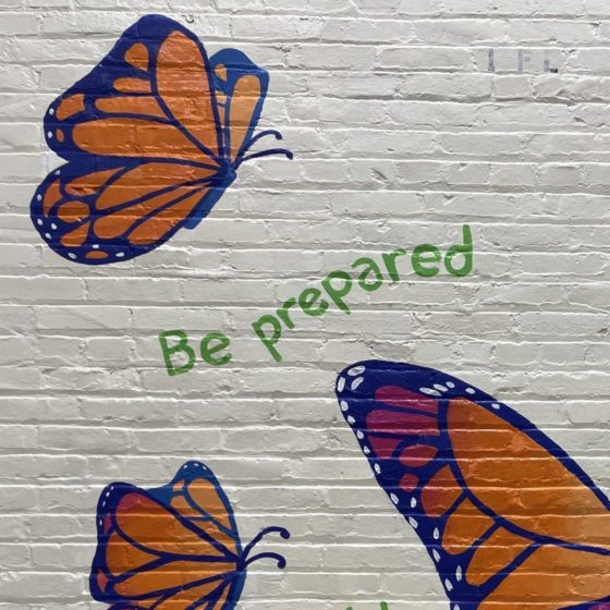 PS 78 Makeover: Butterflies