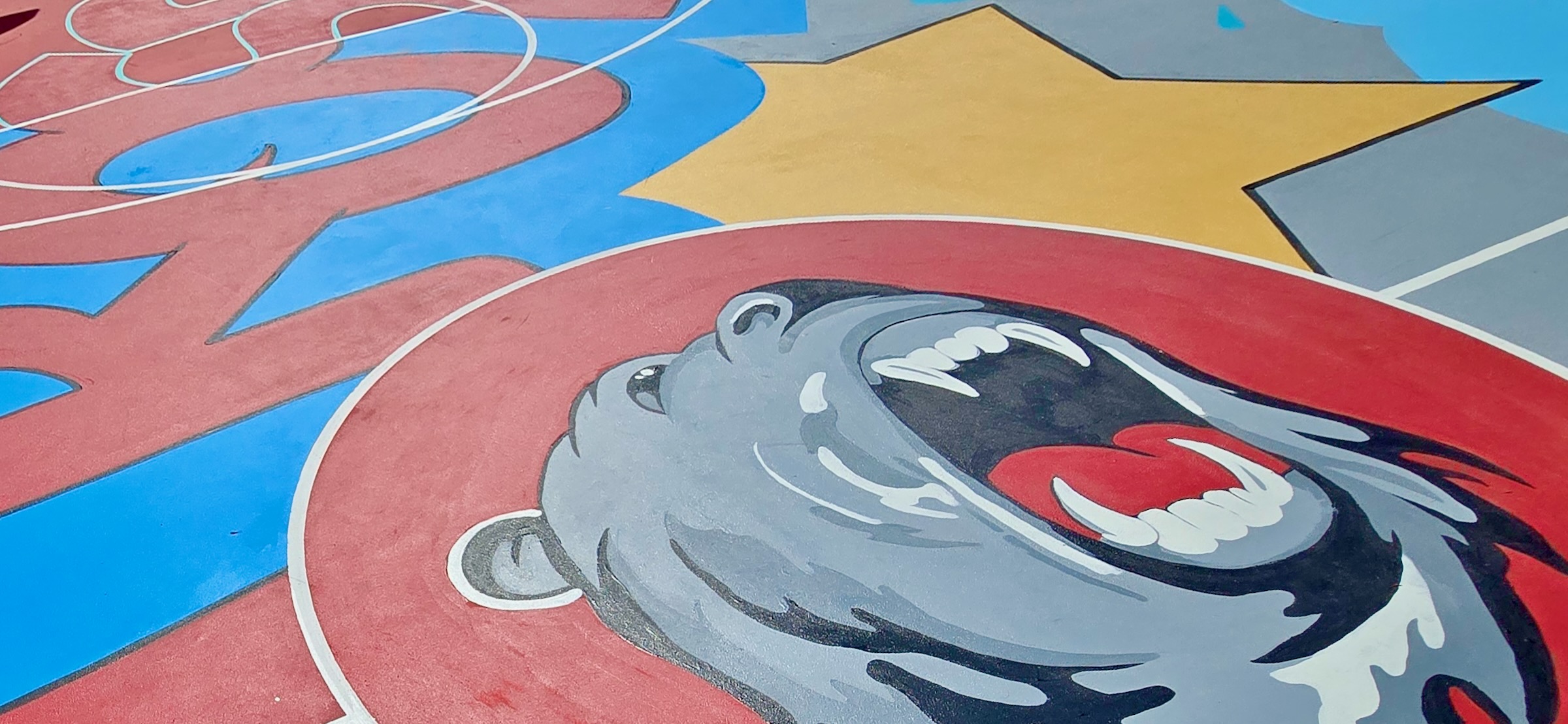 BHSVA: PROSPER Basketball Court - Thrive Collective